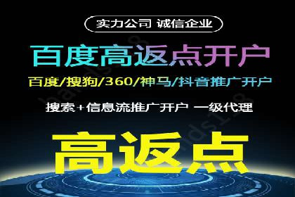 SEM代运营案例分析：精准投放策略解析